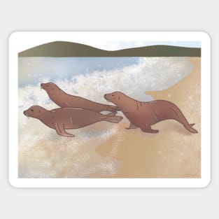 Homecoming - Sea Lion Poster Sticker